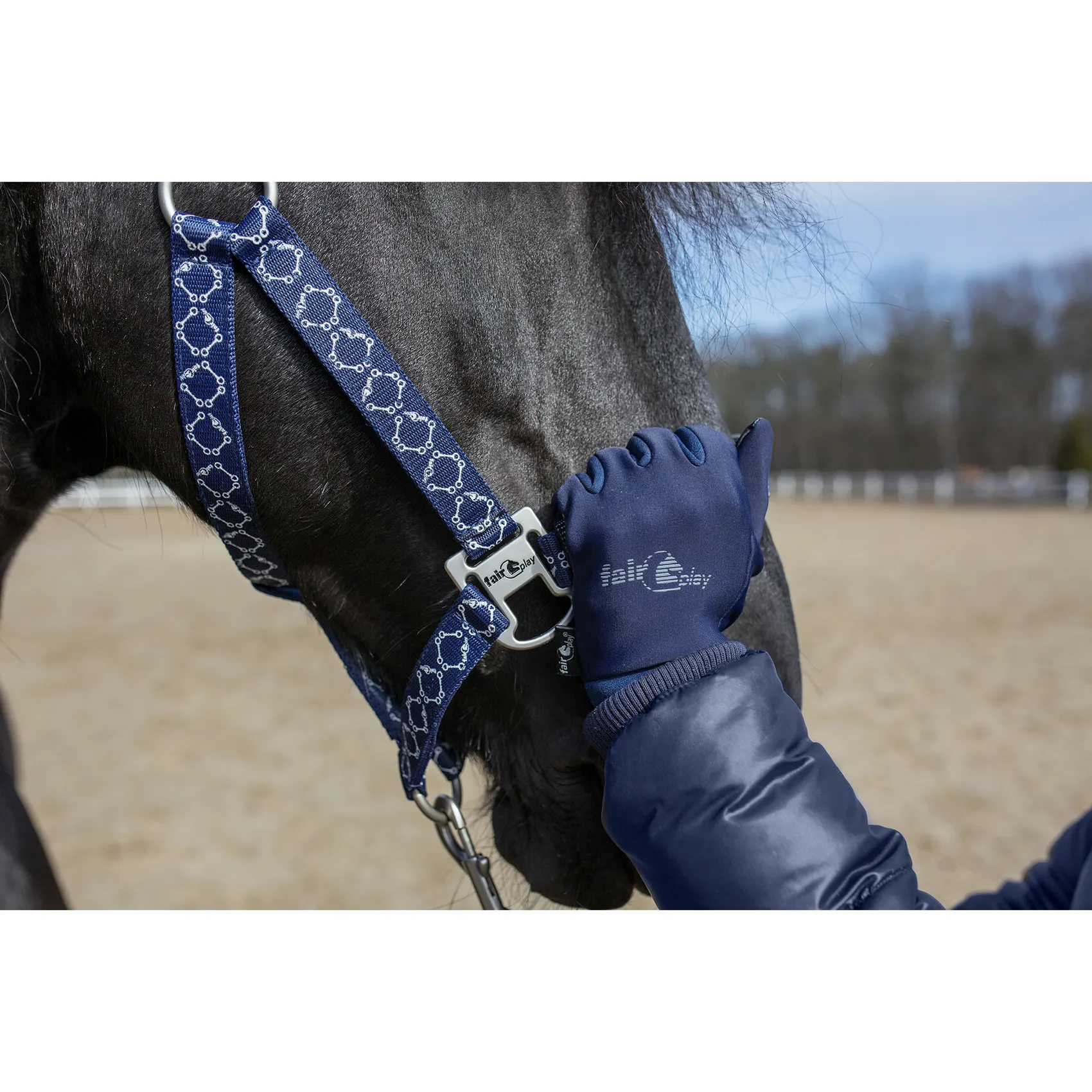 Fair Play CORTINA Winter Riding Gloves, Navy