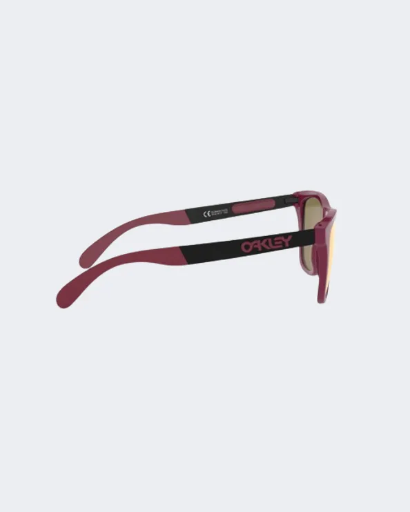 Oakley Frogskin Lifestyle Sunglasses Ruby/Purple 9428-05