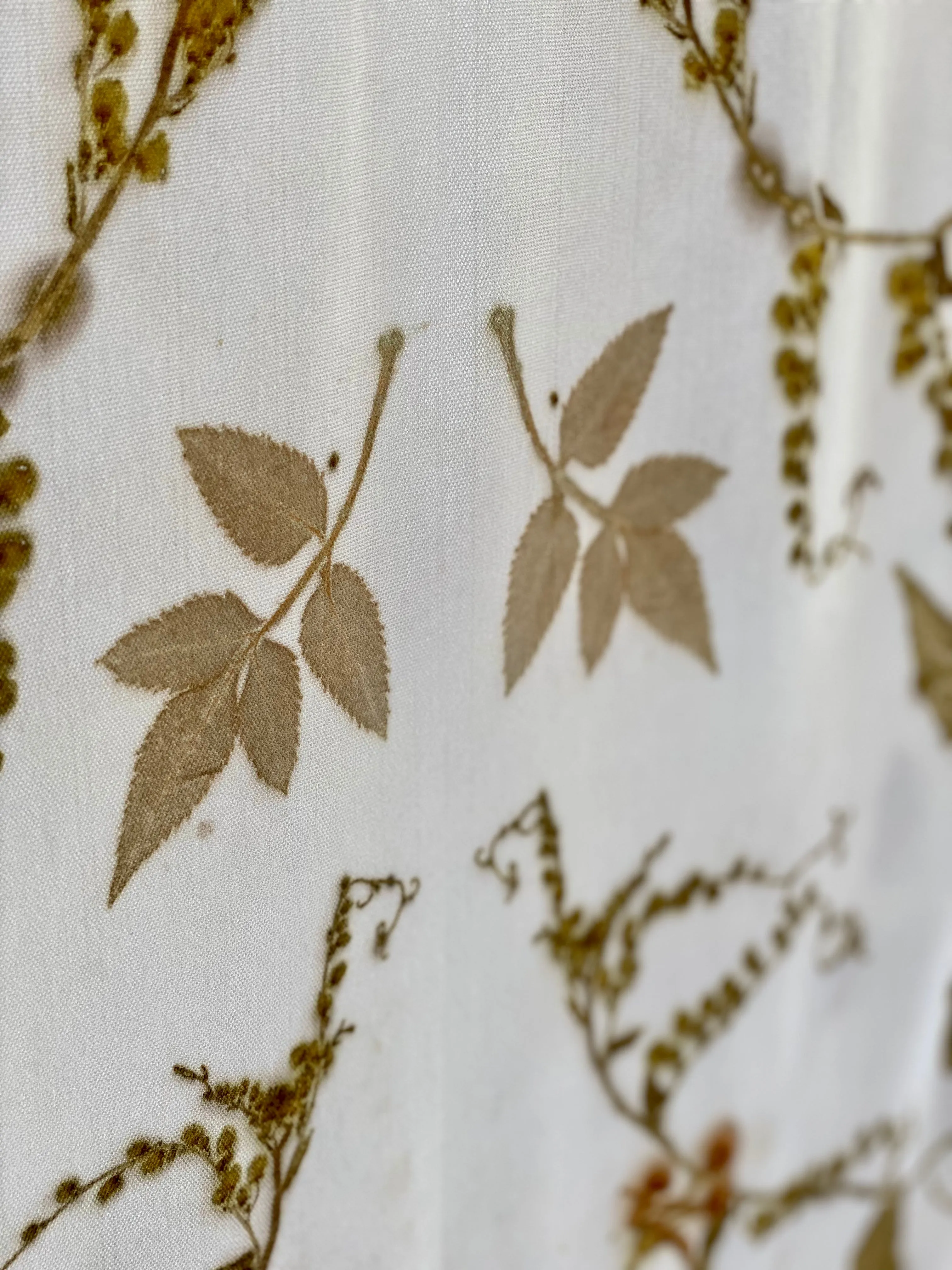 White Botanical Print Scarf | Indigenous Cotton | Handwoven & Naturally Dyed - 0020A-SY-HT